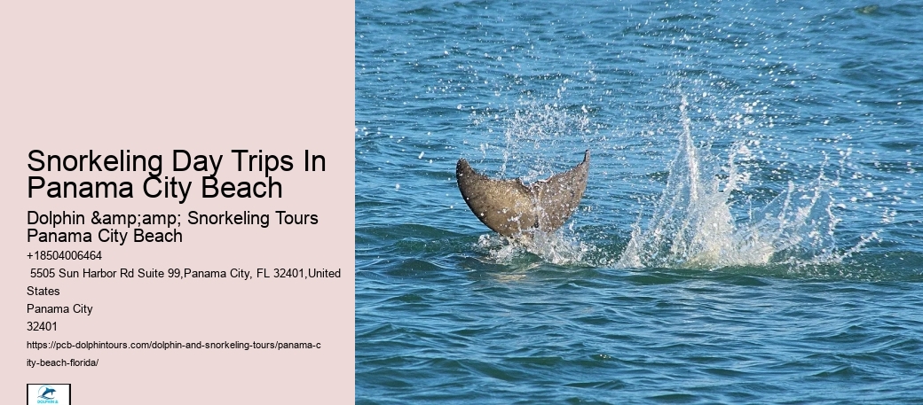 Panama City Beach Snorkeling Tours Locations