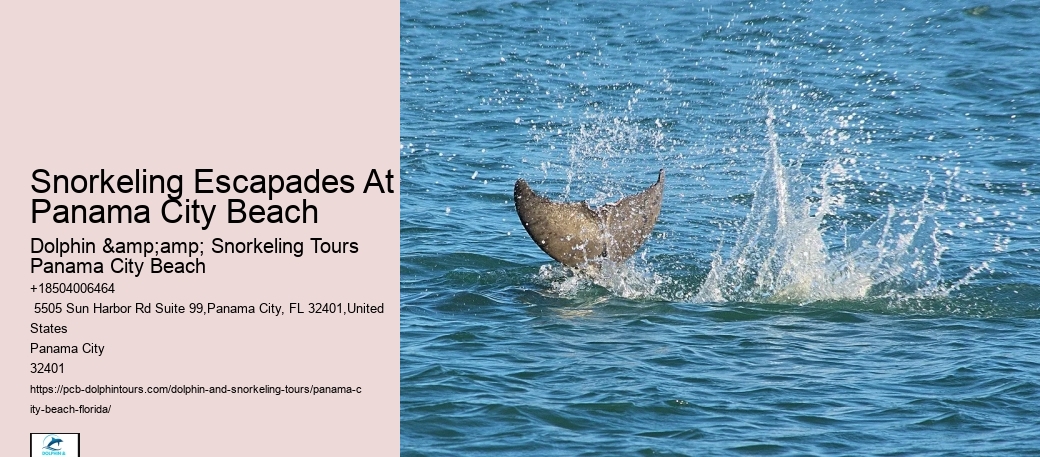 Panama City Beach Snorkeling Tours Vacations