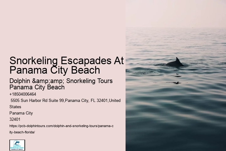 Panama City Beach Snorkeling Tours Queens