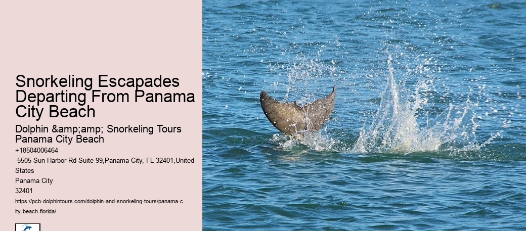 Panama City Beach Snorkeling Tours 302
