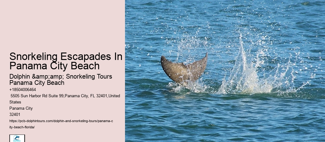 Panama City Beach Snorkel Safaris