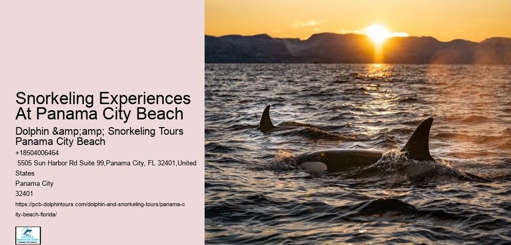 Panama City Beach Snorkeling Tours Hudson Valley