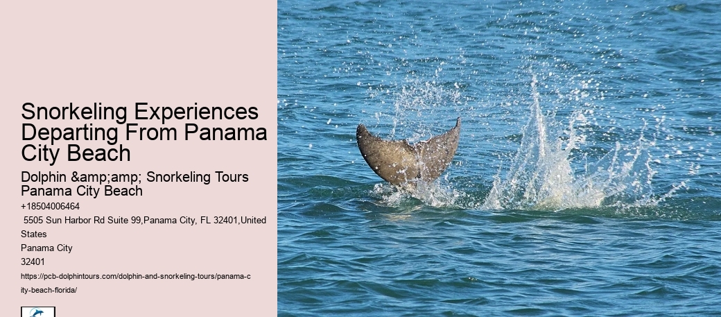 Panama City Beach Snorkel Discovery Voyages