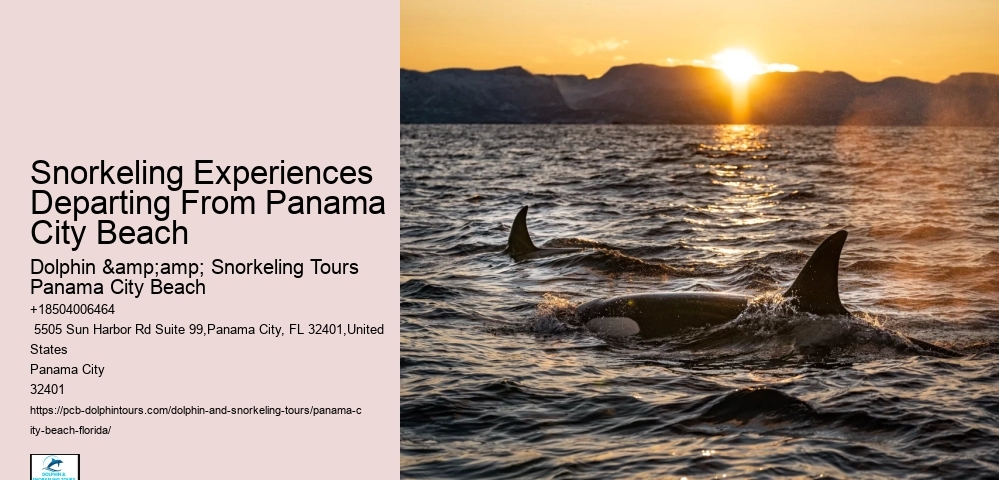 Panama City Beach Snorkel Exploration Tours