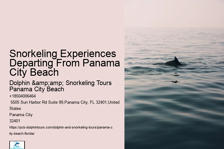 Snorkeling Adventures Departing From Panama City Beach