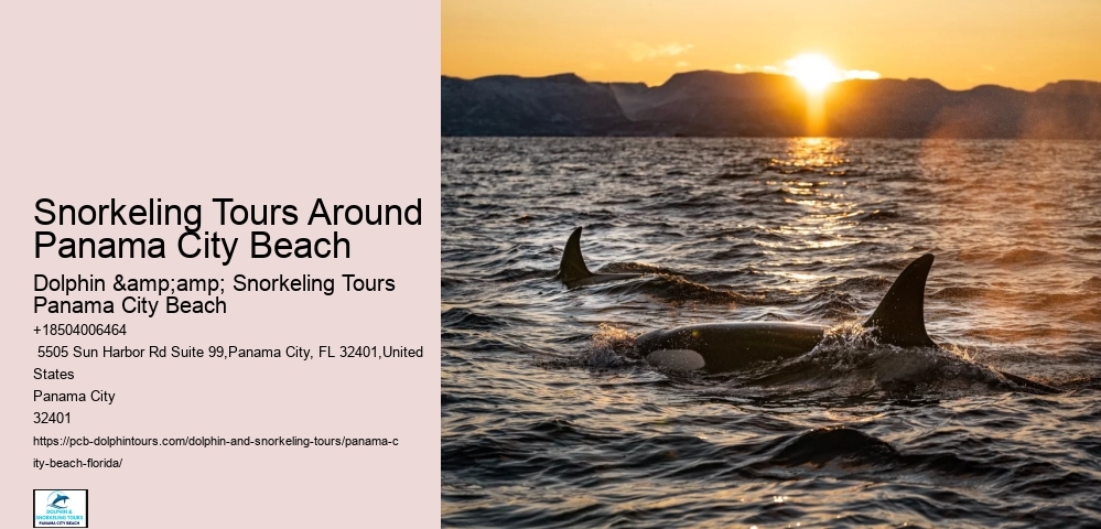 Panama City Beach Snorkeling Tours Delaware Mountains