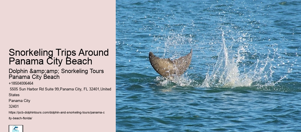 Tour
