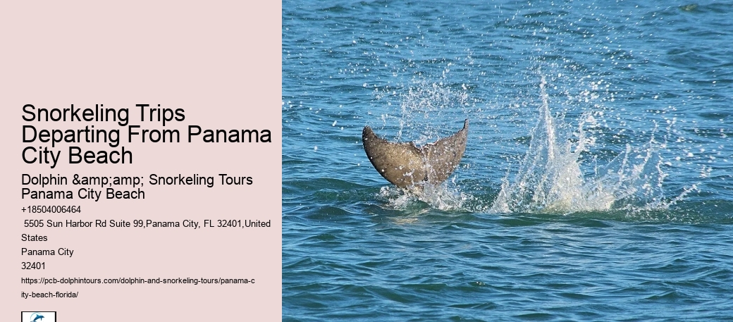 Snorkeling Experiences Departing From Panama City Beach