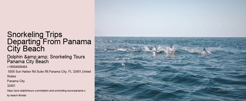 Snorkeling Adventures At Panama City Beach